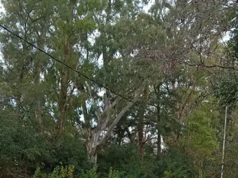 Terreno en Venta de 350,0 m2