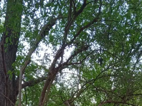 Terreno en Venta en Colonia Santa Rosa, USD 18.000