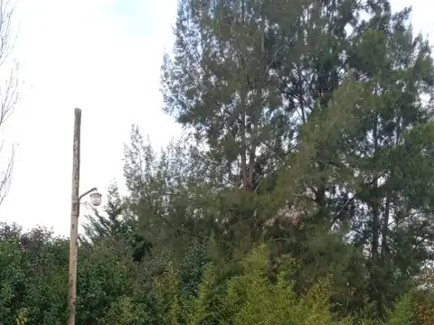 VENDO LOTES DE 10 X 35 CADA UNO, Zona de QUINTAS