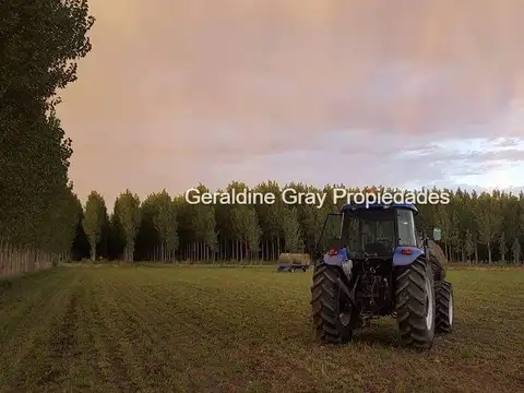 Campo en venta de 70 has ubicado en Tratayen