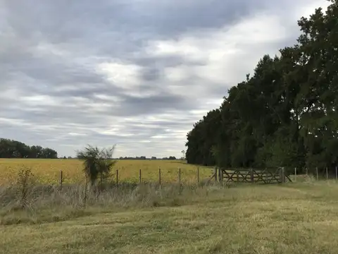 Campo - Venta - Argentina, Luján