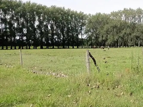 VENTA CAMPO EN CARDALES