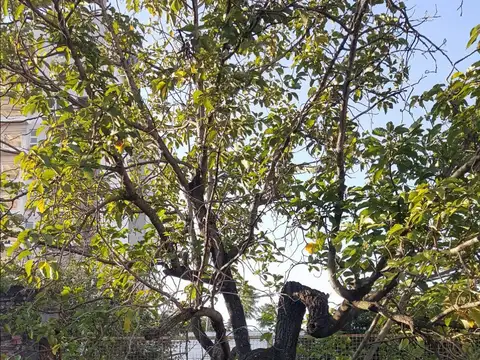 Espectacular inmueble sobre 15x50 en microcentro!