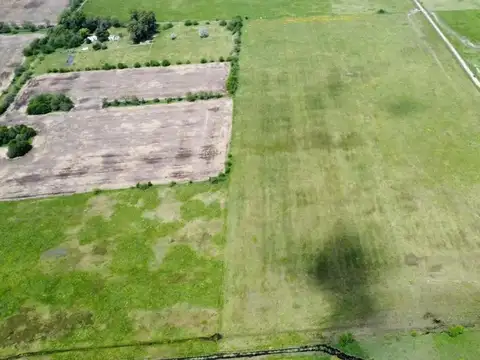 Campo en venta - 163.400Mts2 - Navarro