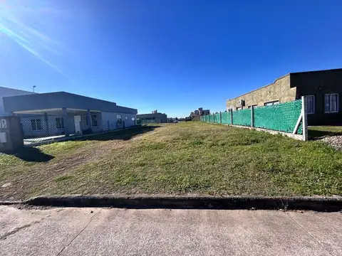 CAMINO DEL PERU Y JULIO CORTAZA