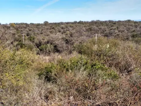 Terreno Campo  en Venta ubicado en Cortaderas, Chacabuco - LAN0248_LP359398_4