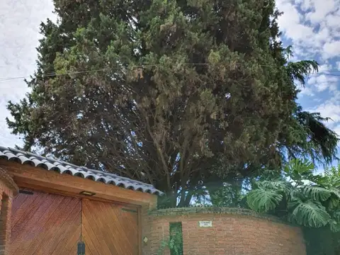 CONSCRIPTO BERNARDI 100