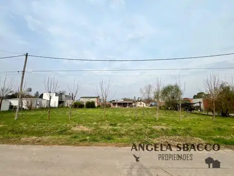 Evaristo Carriego, Torres.