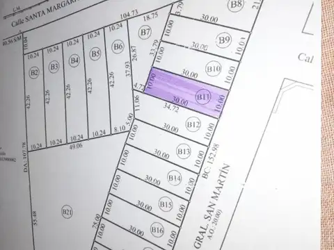 San Martin y Belgrano