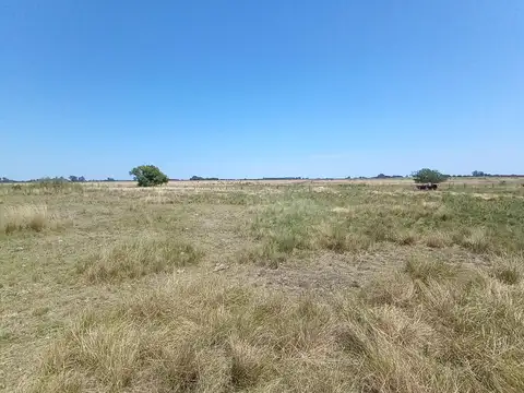 Campo en venta - 76 Hectáreas - San Nicolás de los Arroyos