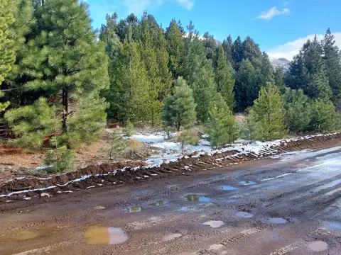 Terreno en Venta de 1186,0 m2