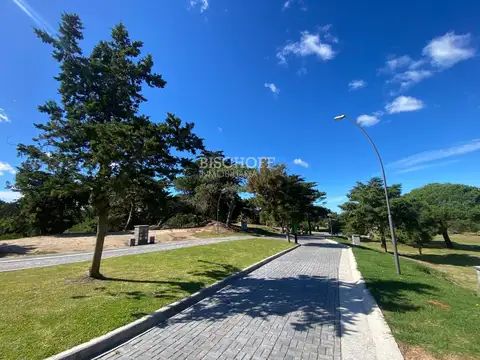 Terreno en Venta en Sur, USD 49.000