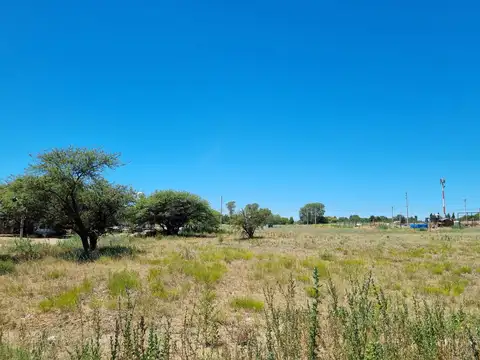 Rivera y Ángel Rosignolo