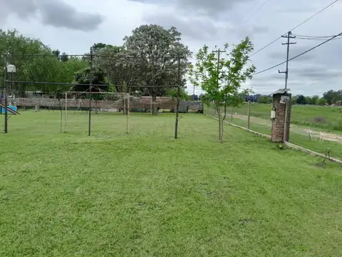 bandera argentina 100