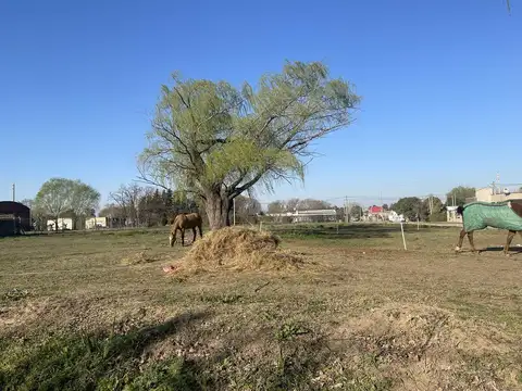M. T de Alvear entre Chacabuco y Lacoste
