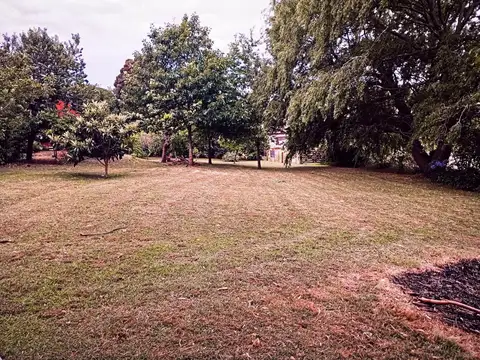 Padre Bernardo Nusdorffer 500