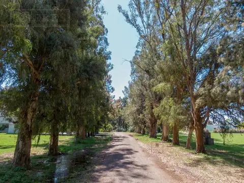 Lote perimetral a calle interna del barrio en Las Casuarinas del Pilar