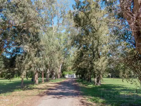 Lote perimetral a calle interna del barrio en Las Casuarinas del Pilar