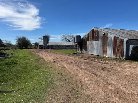 Vendo Granja Avicola en Concepción Del Uruguay, Entre Ríos.