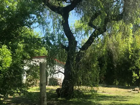 Excelente Casa En 1600 Mts A 200 Del Puente Gorriti