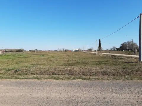 Fidel Sarmiento, La luisa 100