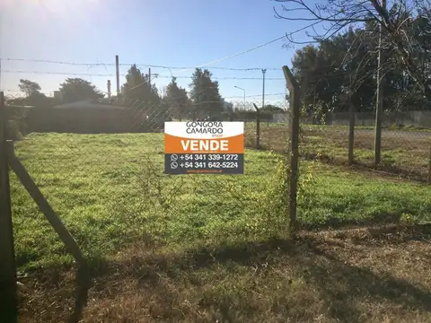 Ponce de Leon y Colon