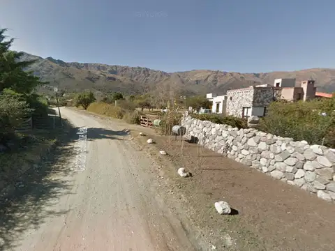 Cantata del Bosque Natal 900