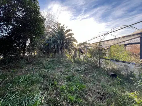 VENTA TERRENO 3 HECTÁREAS EN MERLO