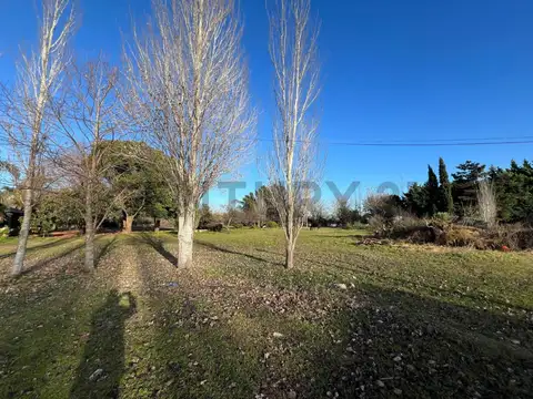 garmendia y avenida jose de san martin , Piso 0