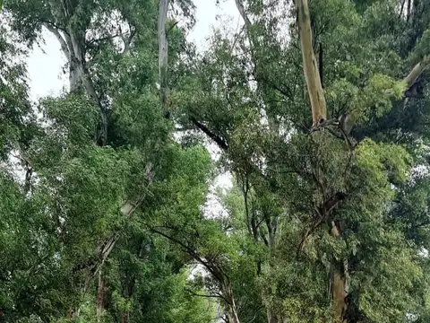 Terreno en Venta de 1430,0 m2