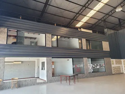 COLECTORA ESTE Y AVDA BENAVIDEZ 100