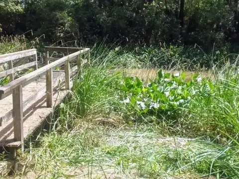 Terreno en venta - 2.100Mts2 - Tigre