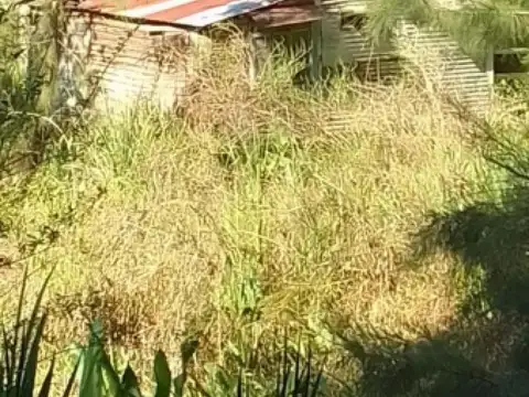 Arroyo Gelvez - Delta