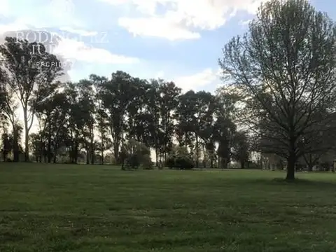 Terreno - Haras San Pablo