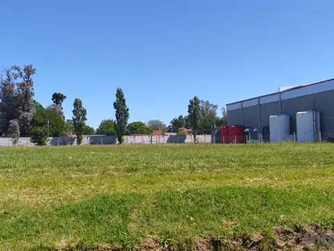 Parque Municipal PIM 1 100