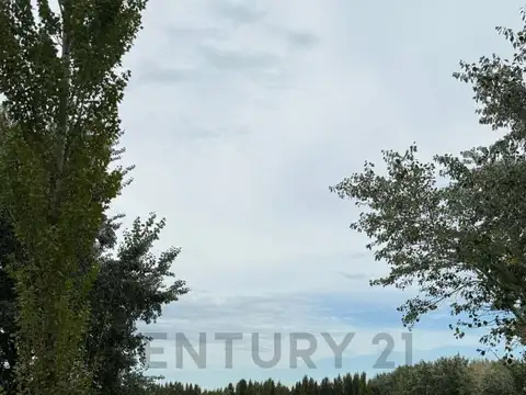 Terreno en Venta en Coronel Brandsen, USD 31.000