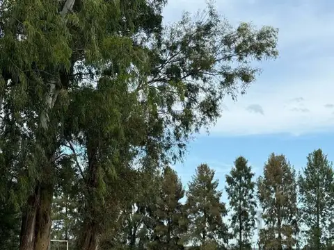 Terreno en Venta de 1380,0 m2