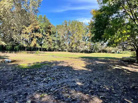 Galpon en Venta en Ricardo Rojas, USD 540.000