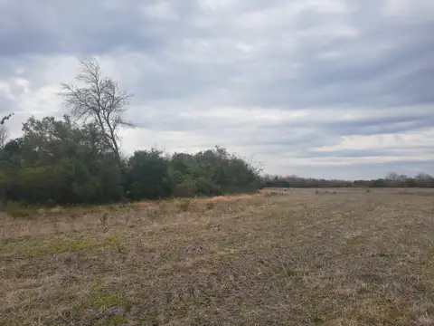 Campo en Venta de 123  ha