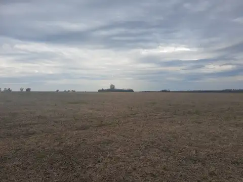 123 has campo agrícola