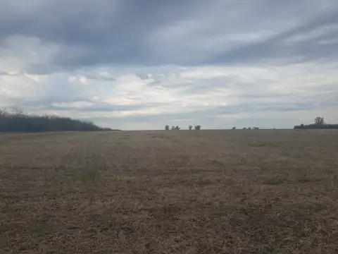 Campo en Venta de 123  ha