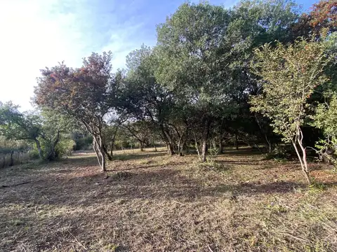 Terreno en Venta 37  mts Frente