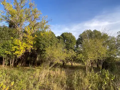 Terreno en Venta 65  mts Fondo