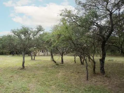 Fracción de 7138,90 m2 + monoambiente de 26 m2