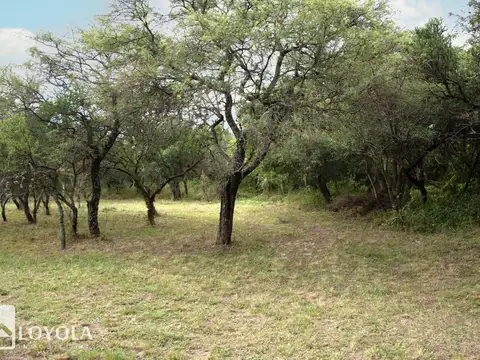 Terreno en Venta de 7138,0 m2