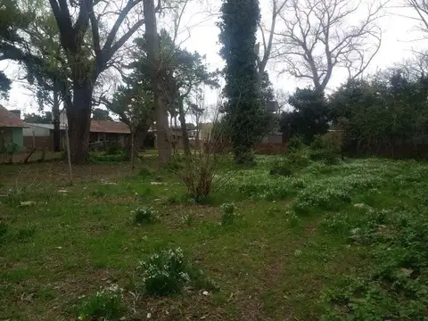 Salta e/ Machado y Drummond