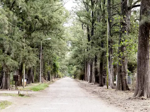 Terreno en Venta 39  mts Fondo