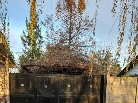 De Vicenzo Grande 1000