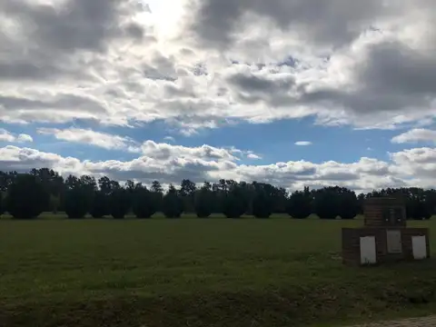 Oportunidad! Hermoso Lote En Venta En Barrio El Cardal Ii,