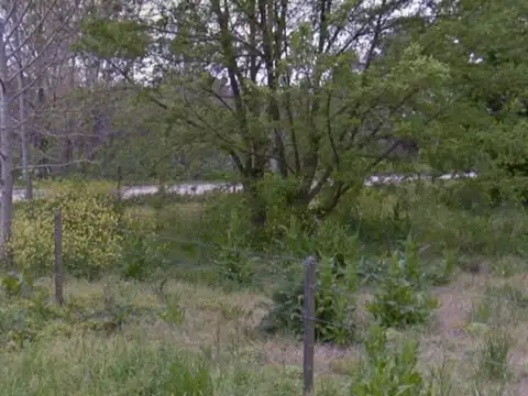 Terreno en Venta de 687,0 m2